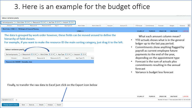 Labour variance report image excerpt with instructions.